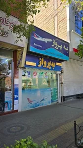 آژانس مسافرتی به پرواز 3