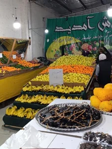 میوه فروشی نوقی 4