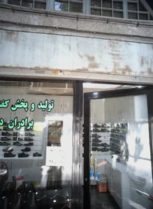 تولید و پخش کفش زیکو 2
