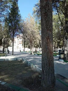 پارک لاله 5