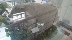 اداره کل حفاظت محیط زیست استان کردستان