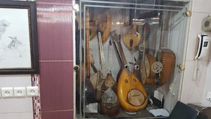 کارگاه ساز سازی رضا ژاله