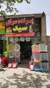 پرنده فروشی