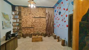 آوای سیلک