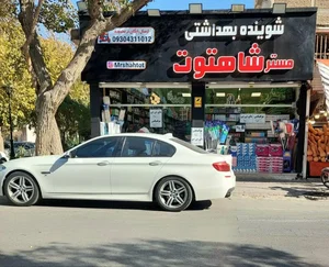 شوینده بهداشتی مستر شاهتوت