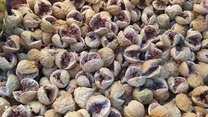 خشکبار تارخ