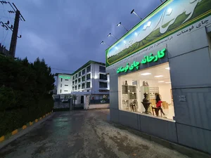 کارخانه چای فومنات