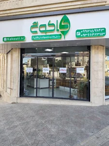 سبزیجات آماده و محصولات ارگانیک کاکوتی
