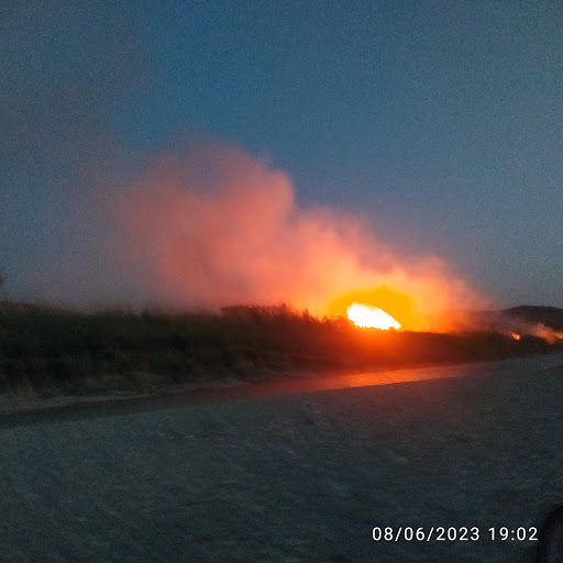 چشمه کَهنو بالا نیزار