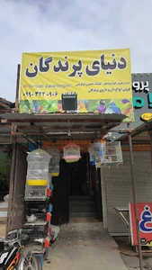 دنیای پرندگان