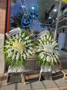 گل مانلی