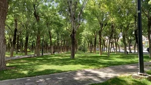 بوستان پیروزی 2