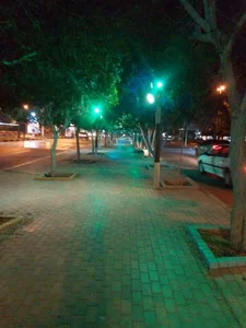 پارک نخل زرین 3
