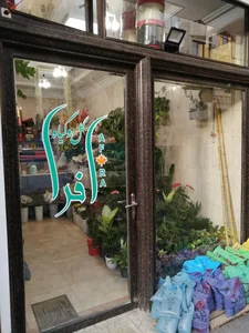 گل و گیاه افرا 5