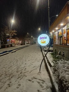 فلاویچ