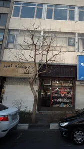 موبایل امیر