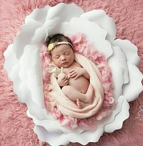 Fotolia photography