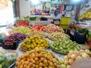سوپر میوه پنج تن (شعبه ۲) 3