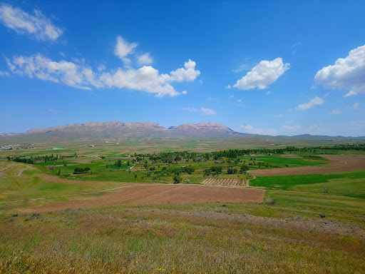 تپه تاریخی چهل گزی