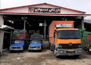 بازرگانی نولان‌(nolan trading)