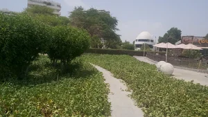 شاندیز صفدری