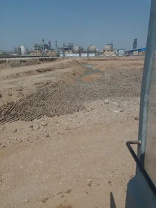 پتروشیمی ارگ