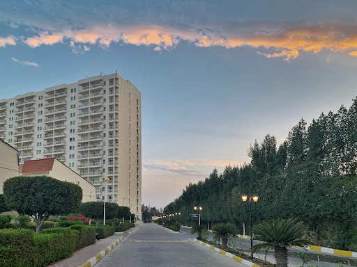 دامون کیش‌ایر