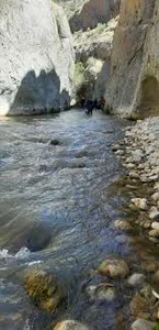 تنگه ی خرسی