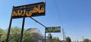 ماهی سرای یزدان