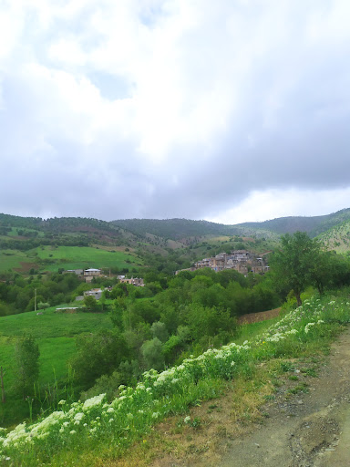 بیکش