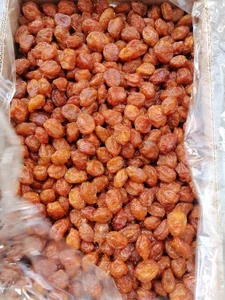 آجیل و خشکبار آفتابگردون 5