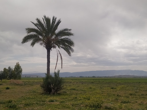 بابا شیخ علی - نوبندگان