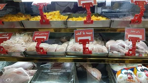 لبنیاتی دهنوی