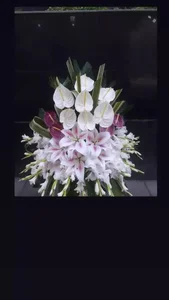 گل فروشی دنیز 2