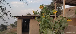 کافه کوهستان