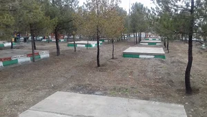 شرکت آلیش گاز