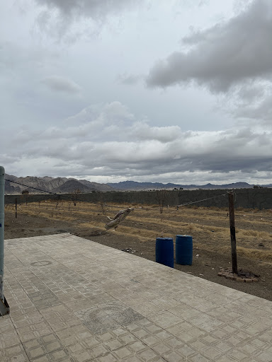 روستای محمد علی شه بخش