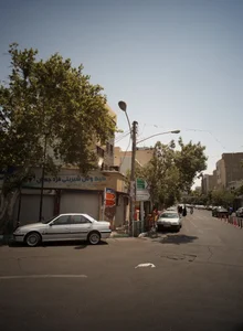کیک و نان شیرینی فرد جهان 2