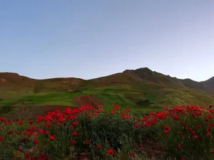 جاده مریوان سقز