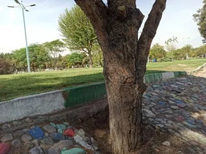 پارک 2