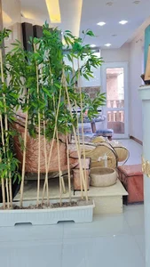 سالن زیبایی بهار سهرابی