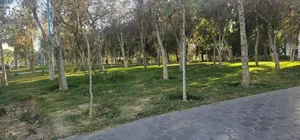پارک کمیل 2