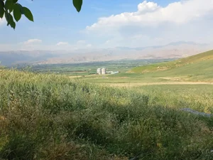 ریگ سفید
