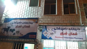 بیمارستان دامپزشکی شمال شرق