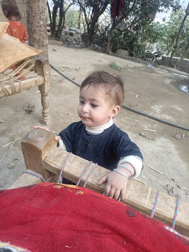 Hamid house