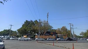 پارک لیان سرتل 5
