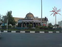 فلافل کیلویی نایت فل