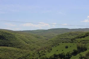 فلکه گل