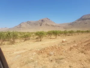 داروخانه دکتر قزوینی