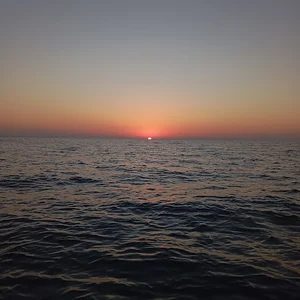 ایوب مارکت